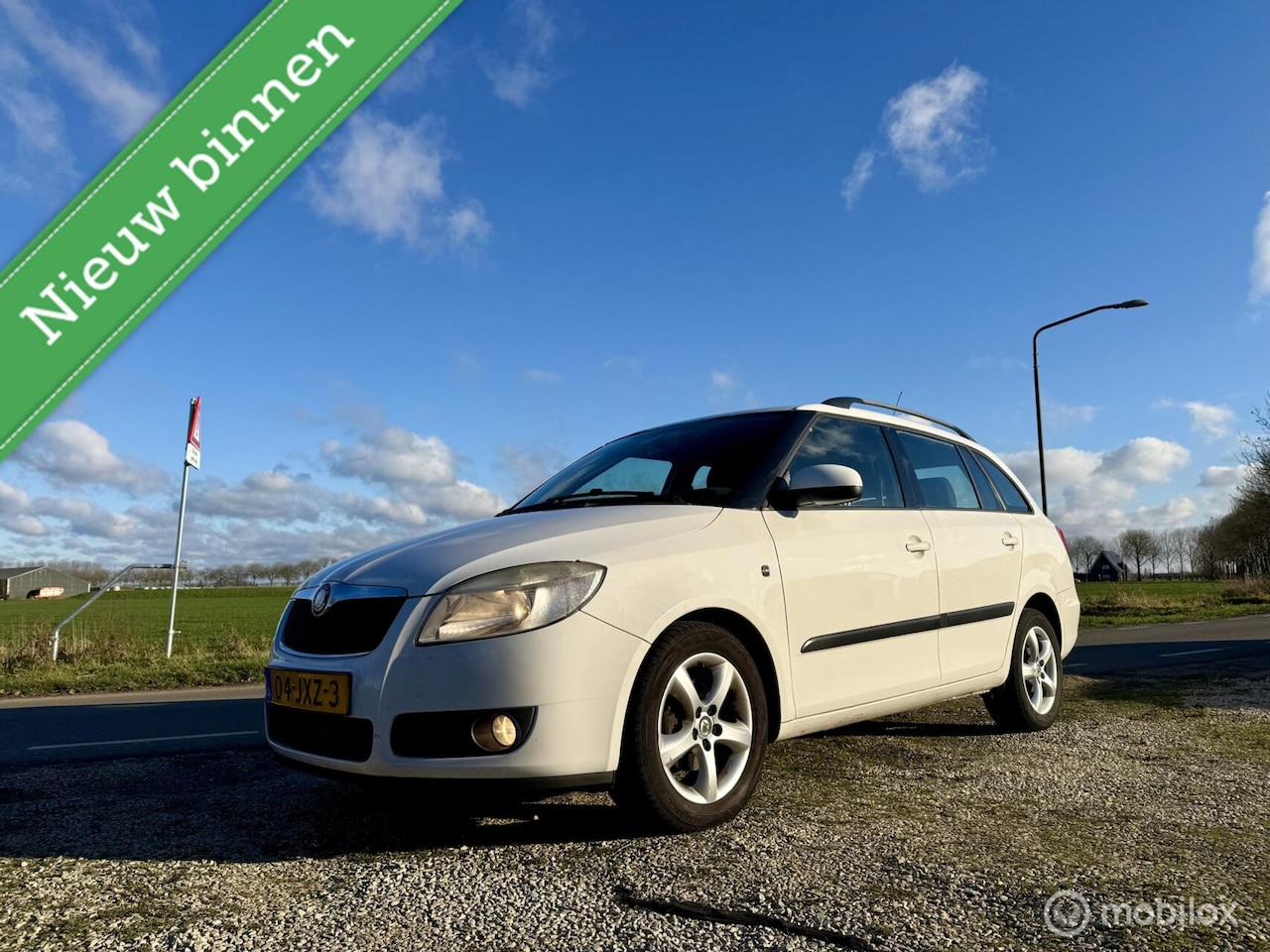 Skoda Fabia Combi - 1.2-12V Business, BJ 2009, Airco, APK - AutoWereld.nl