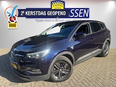 Opel Grandland X - 1.2 Turbo 120 Jaar Edition Nav/Clima/Comfort stoelen