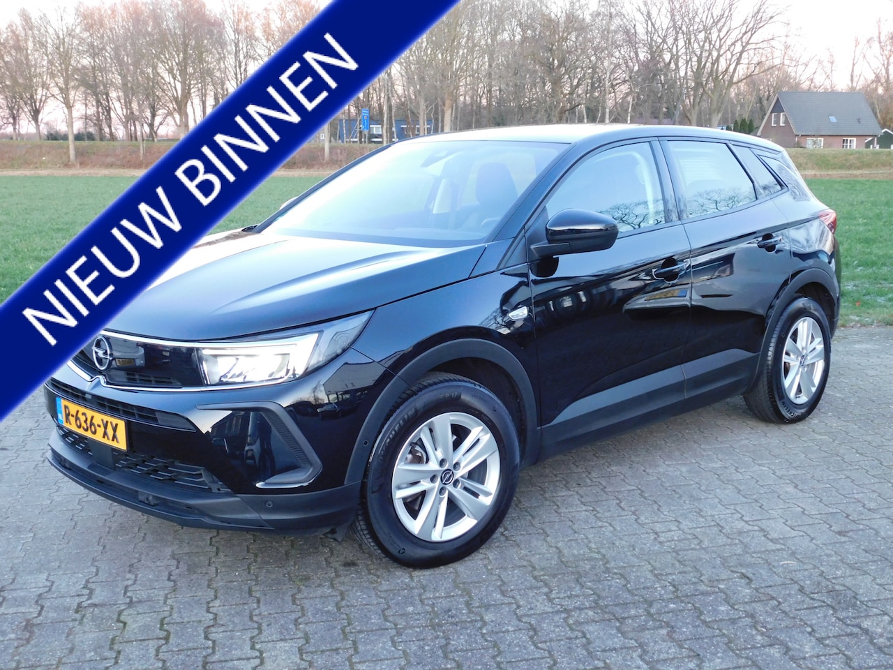 Opel Grandland - 1.2 Turbo Bus. Edition, LED, Trekhaak, Cruise, PDC - AutoWereld.nl