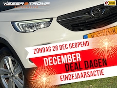 Opel Grandland X - 1.2 Turbo Business Edition - Summit White - Camera/Carplay/Clima