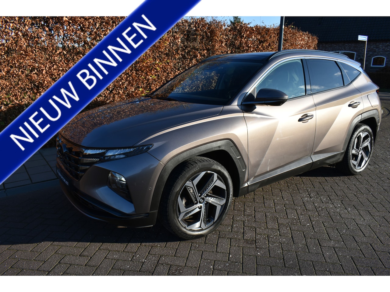 Hyundai Tucson - 1.6 T-GDI HEV 239PK Premium Sky FULL FULL OPTION! - AutoWereld.nl