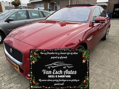 Jaguar XF Portfolio - 3.0d 150.DKM ORG NL-AUTO DEALER ONDERHOUDEN