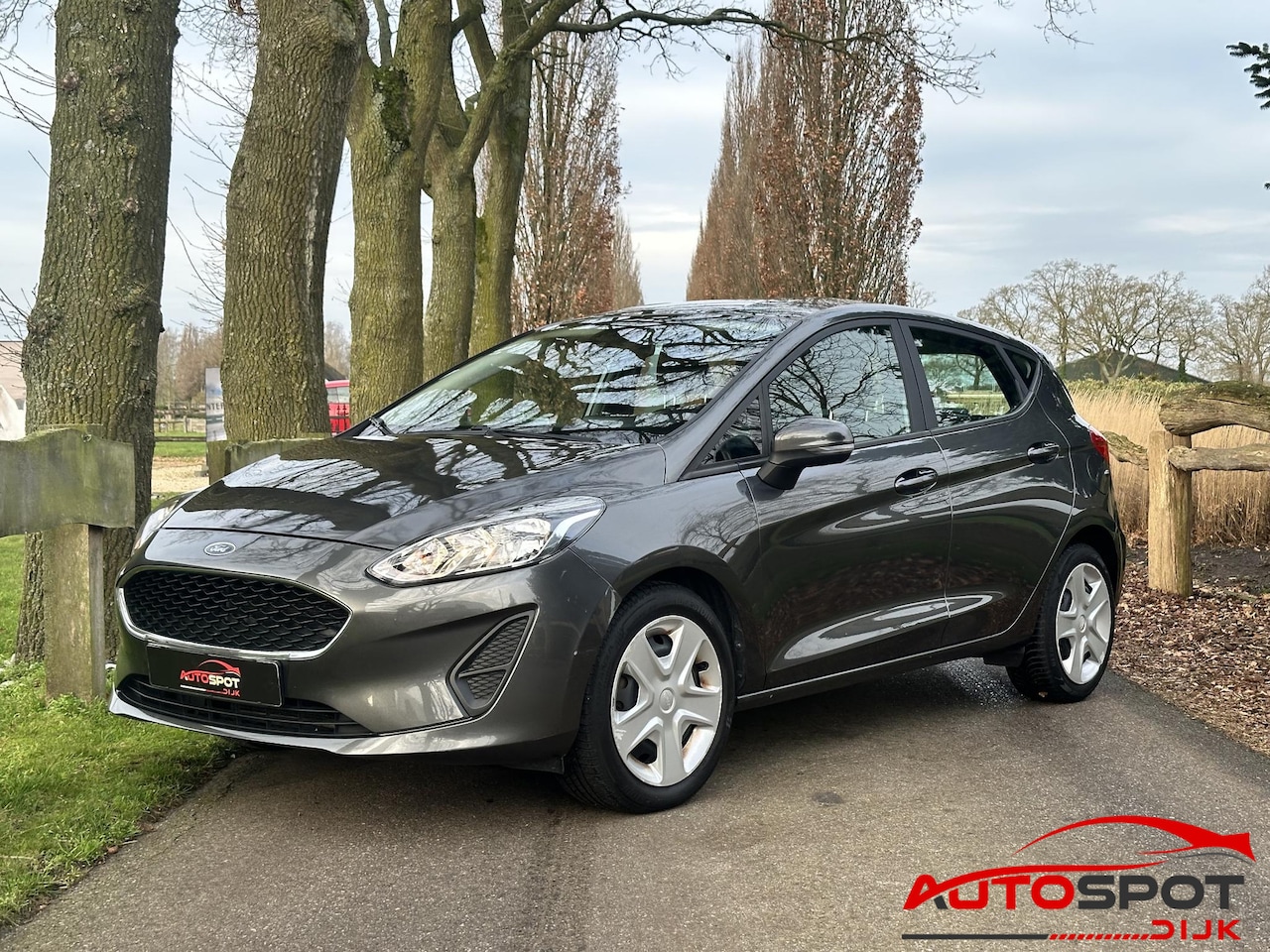 Ford Fiesta - 1.1 Trend 1.1 Trend - AutoWereld.nl