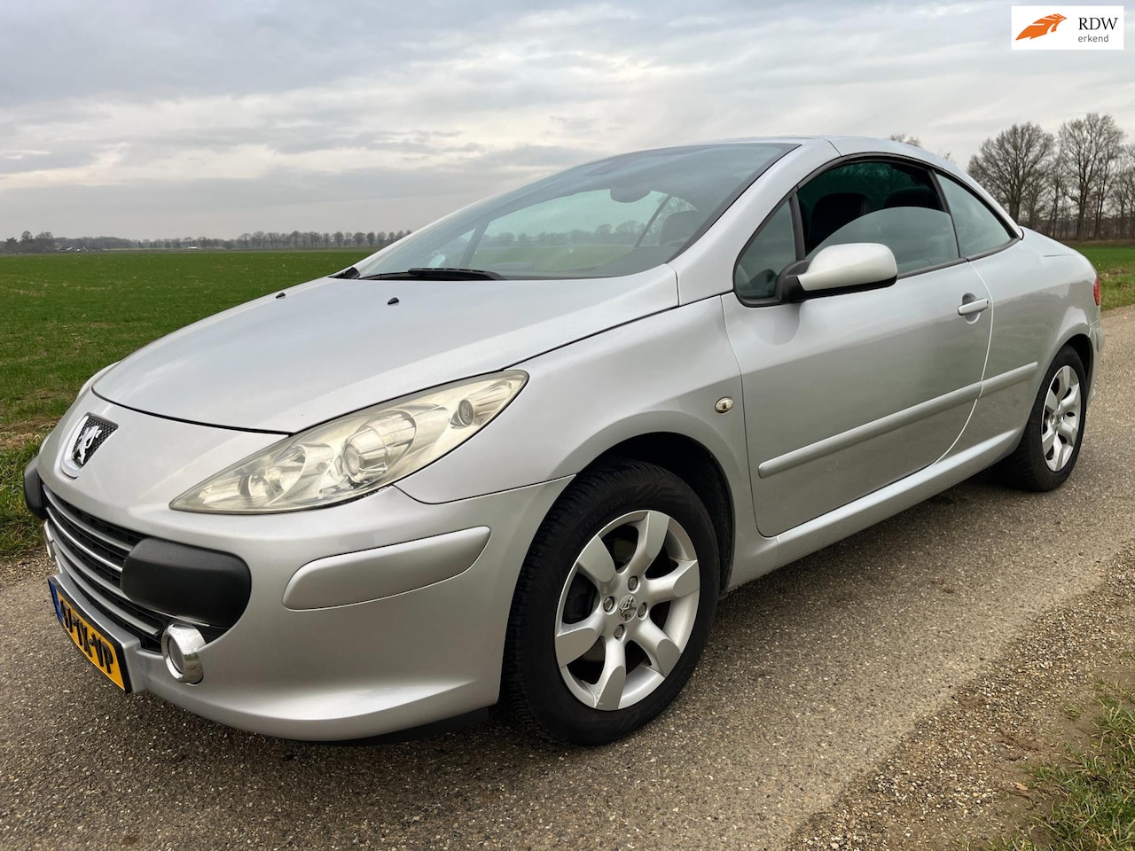 Peugeot 307 CC - 2.0-16V | showauto| - AutoWereld.nl