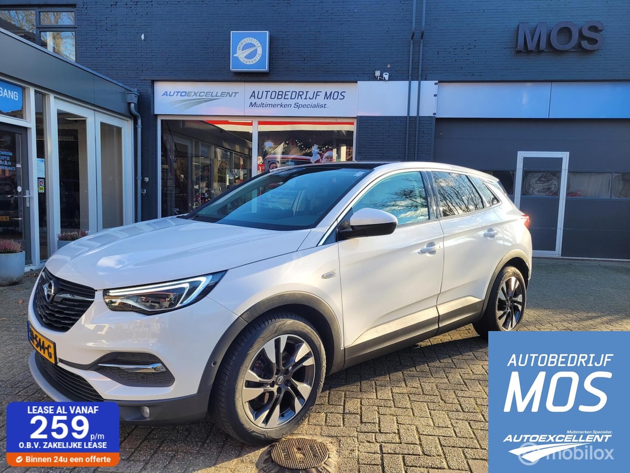 Opel Grandland X - 1.2 Turbo Business Executive 1.2 Turbo Business Executive - AutoWereld.nl