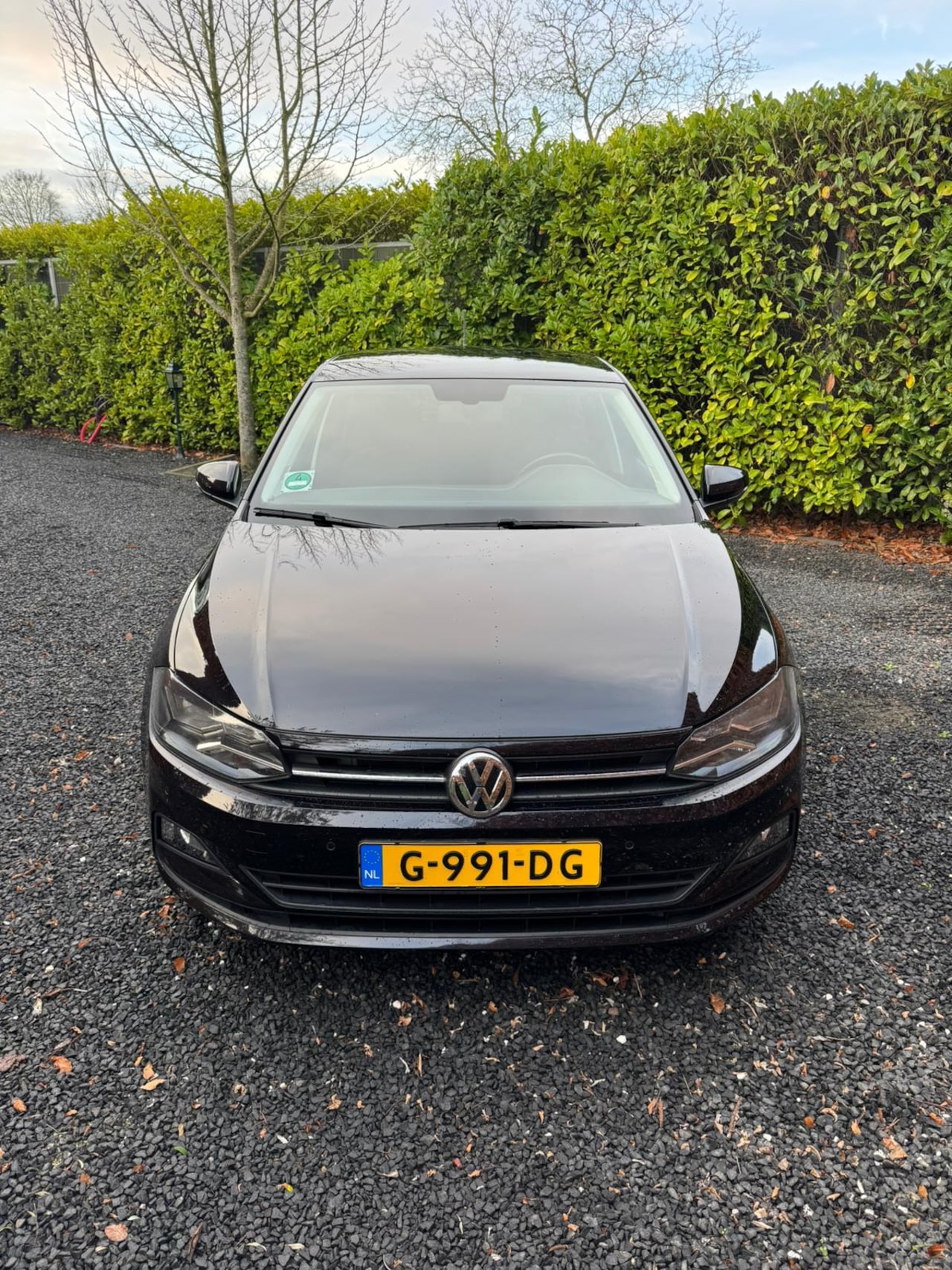 Volkswagen Polo - 1.0 TSI Comfortline Business - AutoWereld.nl