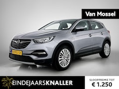 Opel Grandland X - 1.6 Turbo Business Executive | Trekhaak | LMV | Parkeer sensoren | Navigatie | Apple carpl