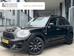MINI Countryman - 1.5 Cooper Business Edition | LEDER | CARPLAY | CRUISE CONTROL | CLIMATE CONTROL | STOELVE