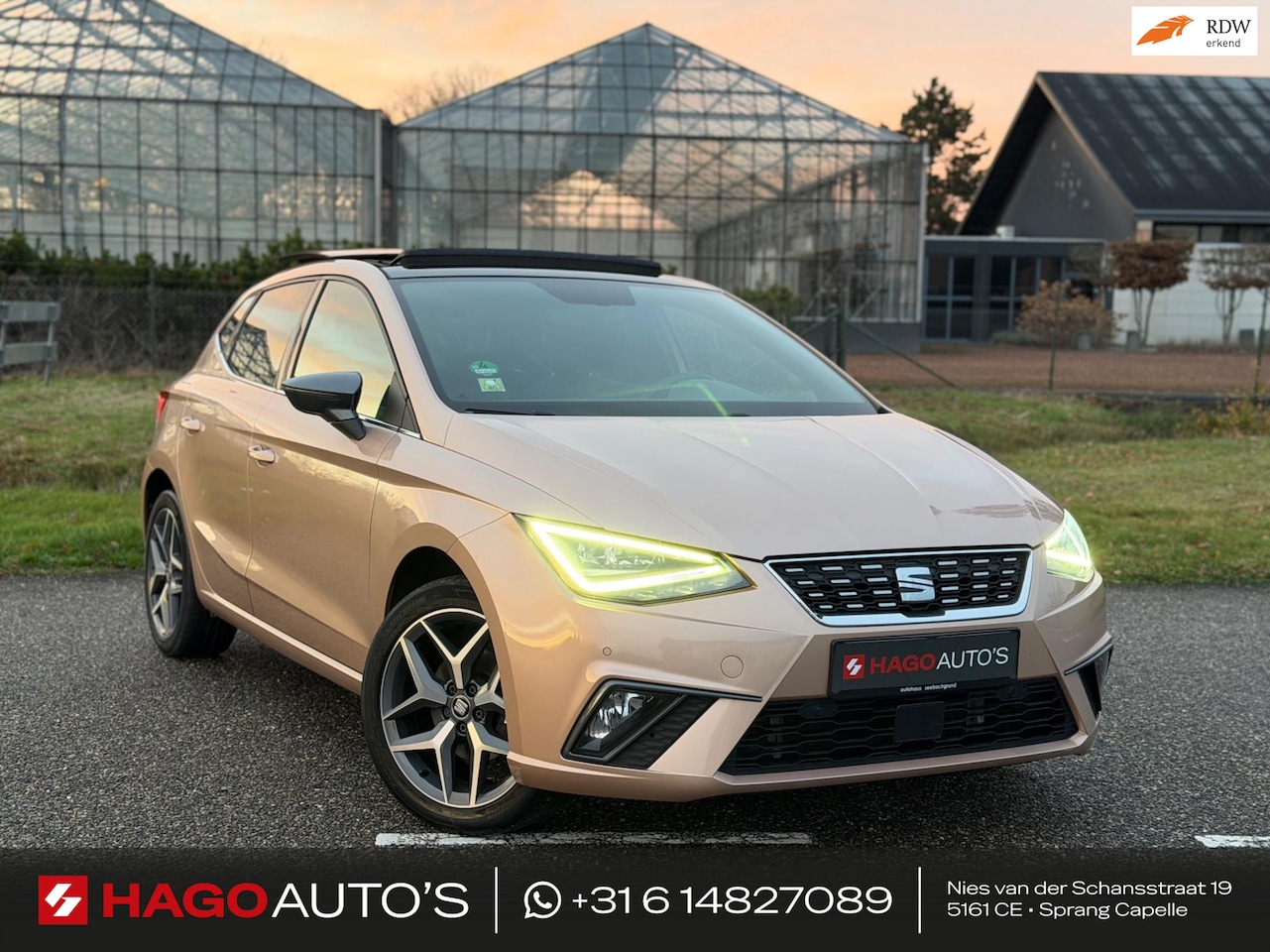 SEAT Ibiza - 1.0 TSI Xcellence DSG/LED/PANO/BEATS/CARPLAY/DCC/CAMERA/CLIMATE - AutoWereld.nl