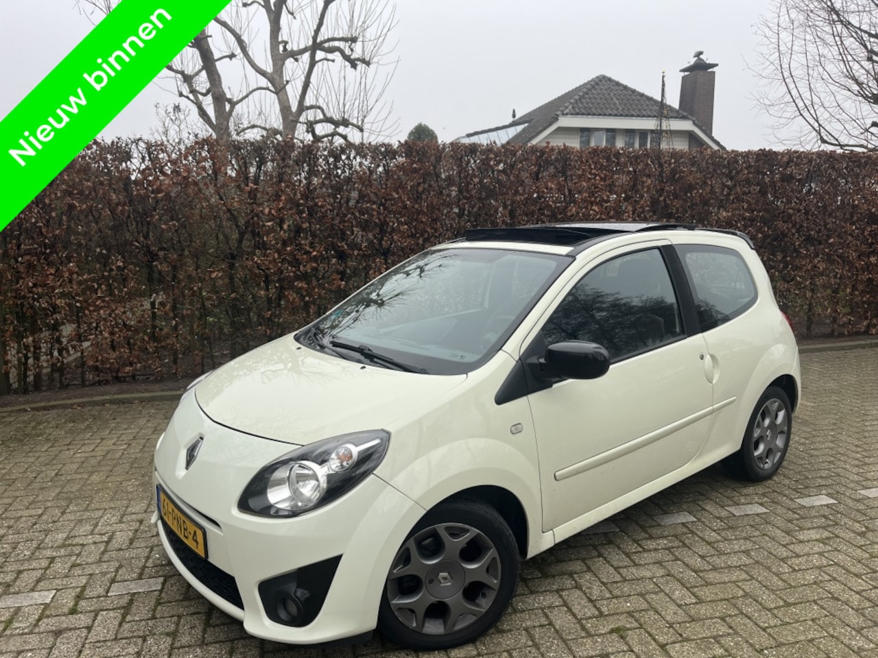 Renault Twingo - 1.2-16V Bluetooth Panoramadak Dynamique - AutoWereld.nl