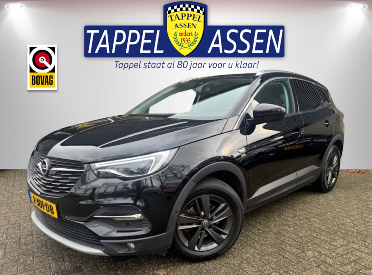 Opel Grandland X - 1.2 Turbo 120 Jaar Edition Trekhaak/Carplay - AutoWereld.nl