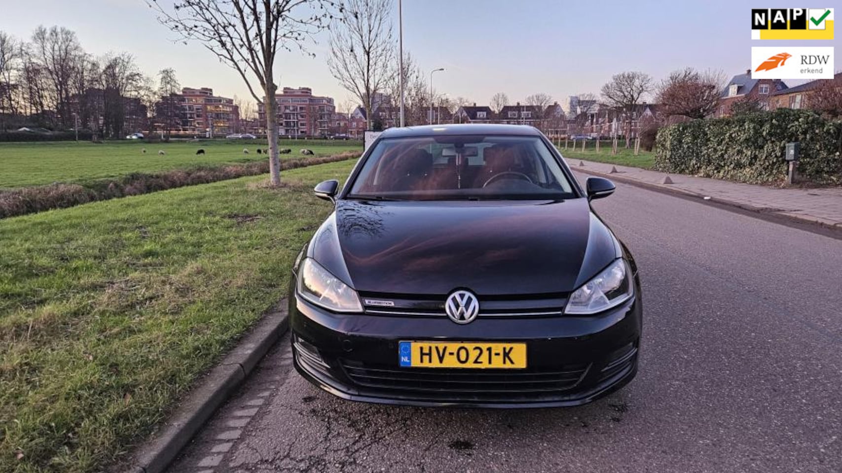 Volkswagen Golf - 1.0 TSI Business Edition Connected 1.0 TSI Business Edition Connected - AutoWereld.nl