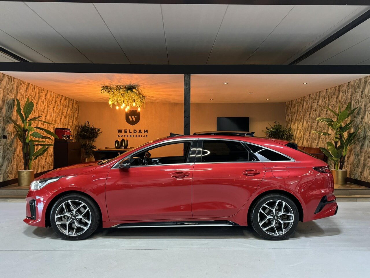 Kia Pro cee'd - 1.5 T-GDI GT-Line Garantie Pano Carplay Camera Cruise Navi Clima Led DAB Rijklaar - AutoWereld.nl