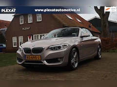 BMW 2-serie Cabrio - 220d High Executive Aut. | Orig. NL | Full Led | Sportstoelen | Moonlight Silver | Hifi So