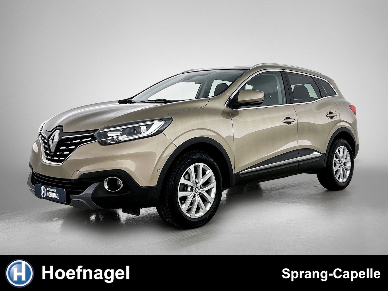 Renault Kadjar - 1.2 TCe Intens | Navi | Camera | Cruise Control | - AutoWereld.nl