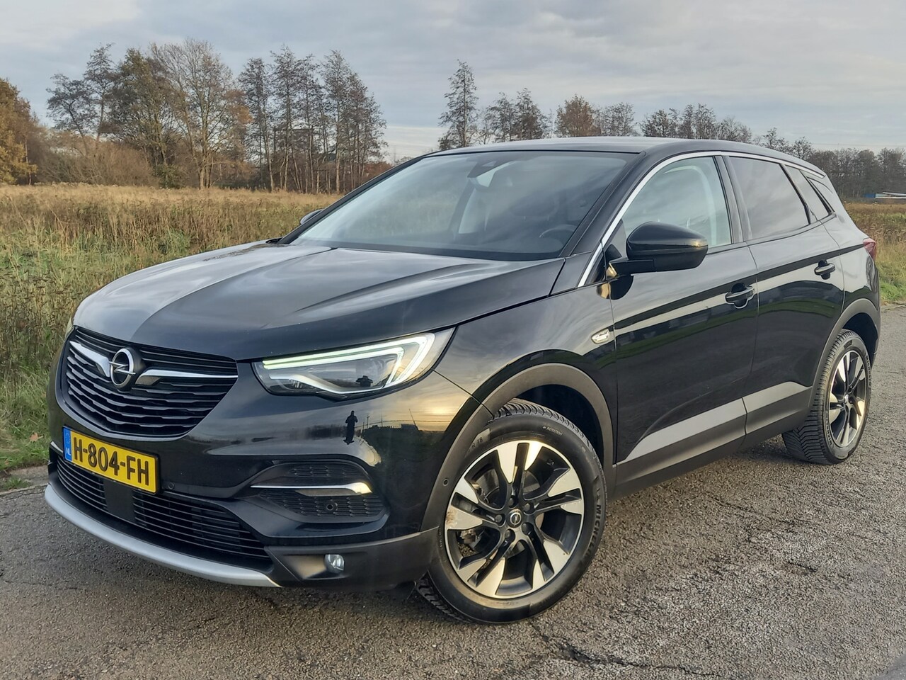 Opel Grandland X - 1.2 Turbo Business Executive 1.2 Turbo Business Executive - AutoWereld.nl