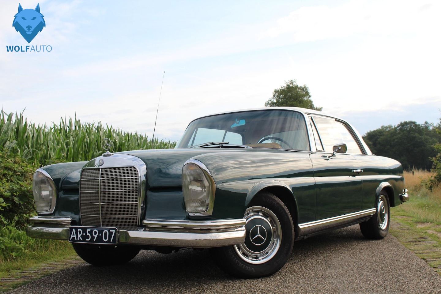 Mercedes-Benz 220 - se 220 SE Coupe PRACHTIGE AUTO! STUURBEKRACHTIGING! - AutoWereld.nl