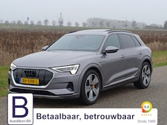 Audi e-tron - e-tron 55 quattro advanced 95 kWh Pano/Leder/Nap/Head-up display/21"/