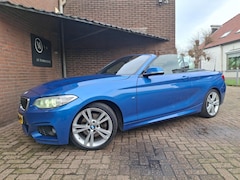 BMW 2-serie Cabrio - 220i High Executive M-Sport Apple Carplay / Harman & Kardon / Led Verlichting / Parkeer Se