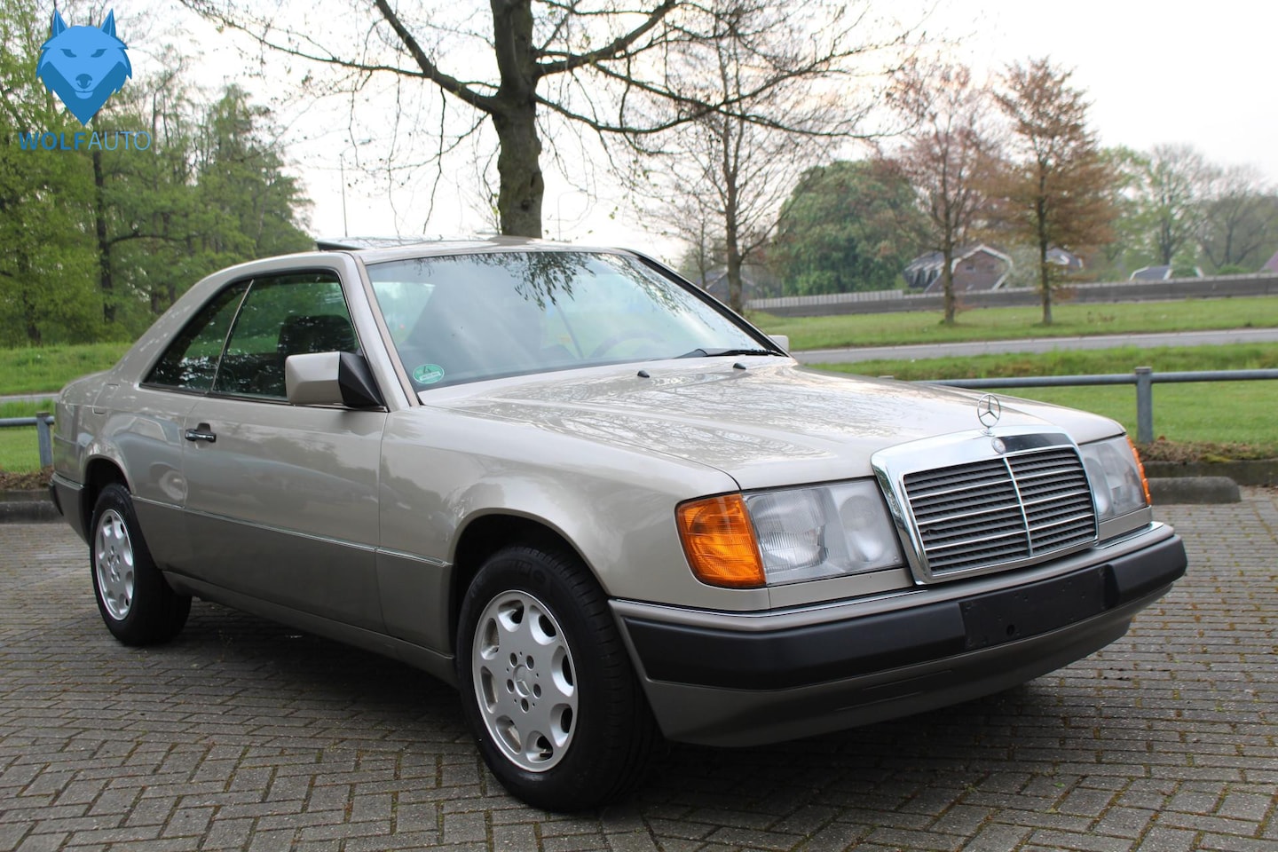 Mercedes-Benz 200-500 (W124) - 200-500 230 CE PRACHTGIE ORIGINELE AUTO! - AutoWereld.nl