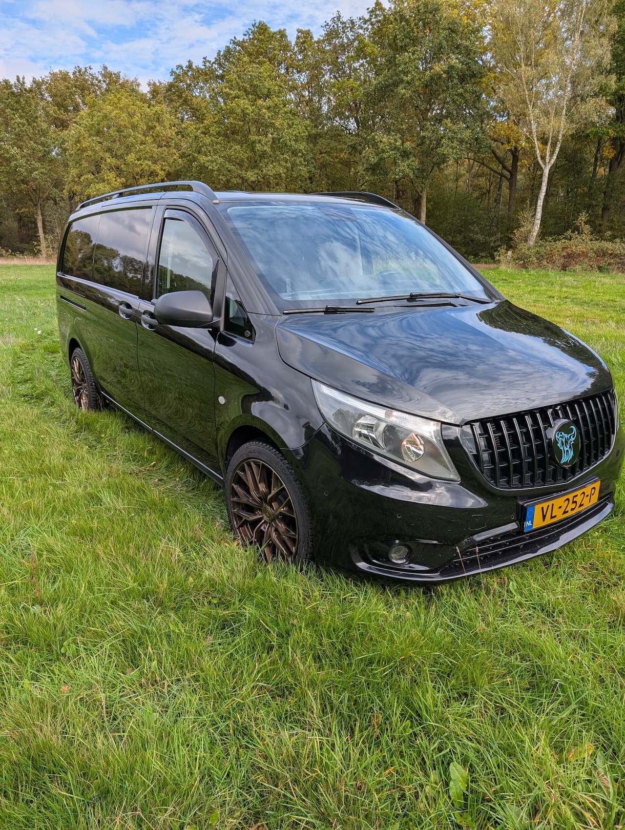 Mercedes-Benz Vito - 114 CDI - AutoWereld.nl