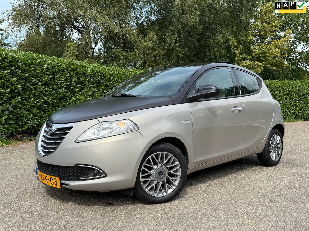 Lancia Y(psilon) - Ypsilon 0.9 TwinAir Platinum Automaat | Panoramadak | Leder | Clima | 15" Velgen | Navi | - AutoWereld.nl