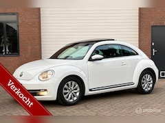 Volkswagen Beetle - 1.2 TSI Design Navi Panoramadak