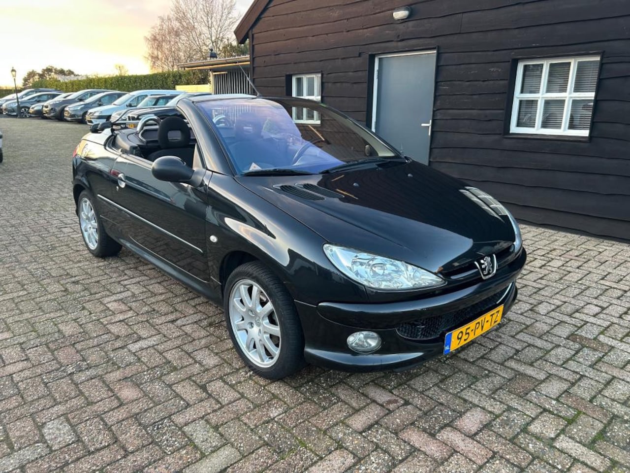 Peugeot 206 CC - 2.0-16V 2.0-16V - AutoWereld.nl