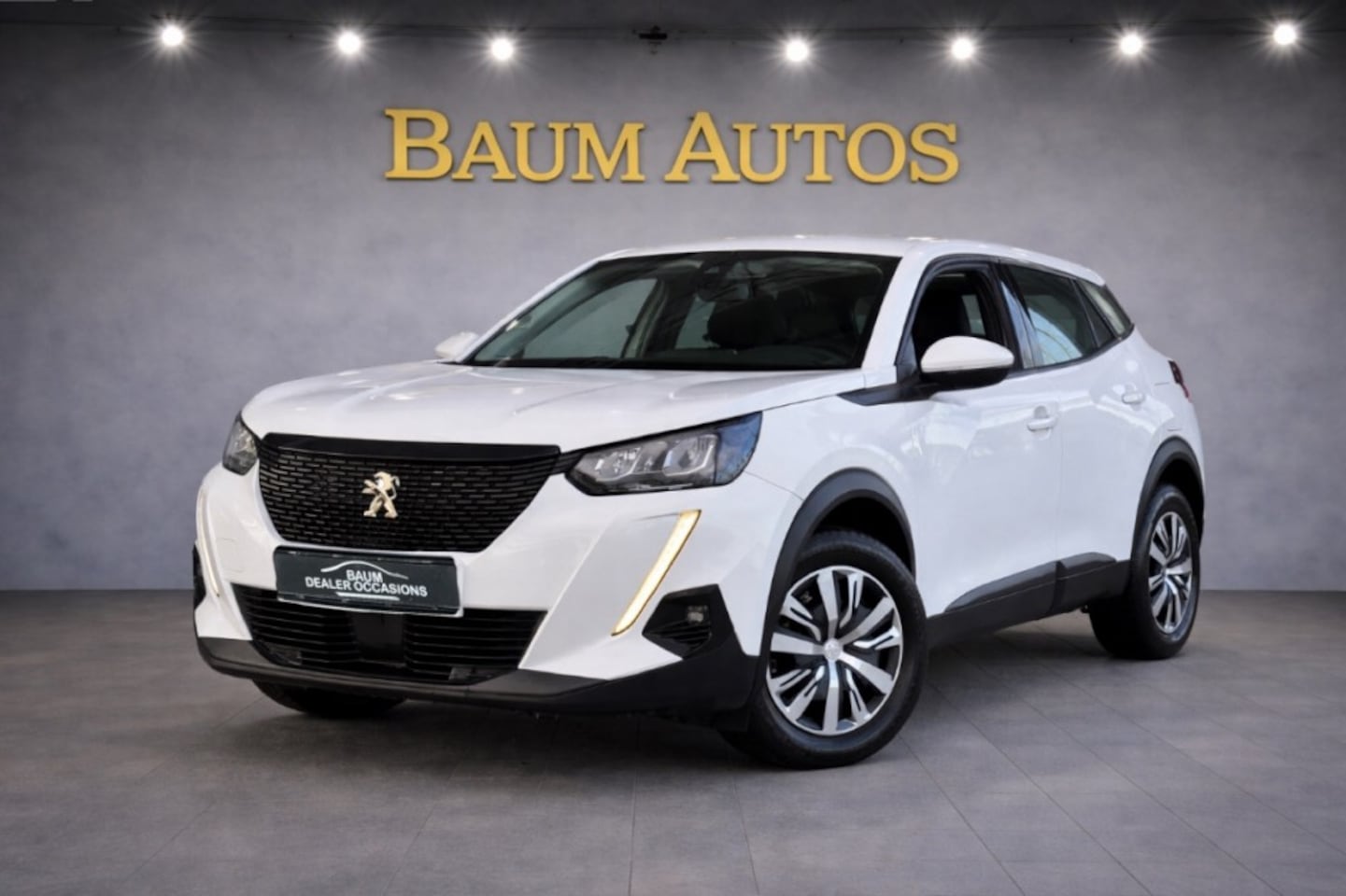 Peugeot 2008 - 1.2 PT ACTIVE PACK AIRCO CRUISE NAVI PDC. - AutoWereld.nl