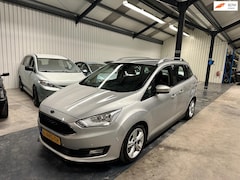 Ford Grand C-Max - 2.0 TDCi Titanium 7 PERSOONS/AUTOMAAT/NAVI/NAP/APK