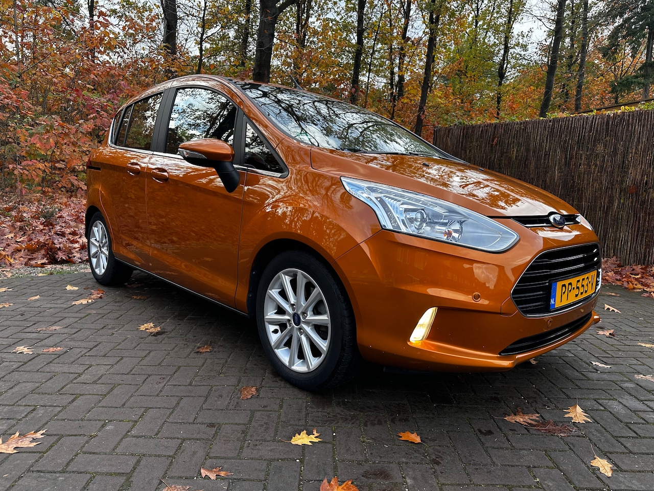 Ford B-Max - 1.0 EcoBoost Titanium 125 PK 2017 CLIMA CRUISE PDC NAP - AutoWereld.nl