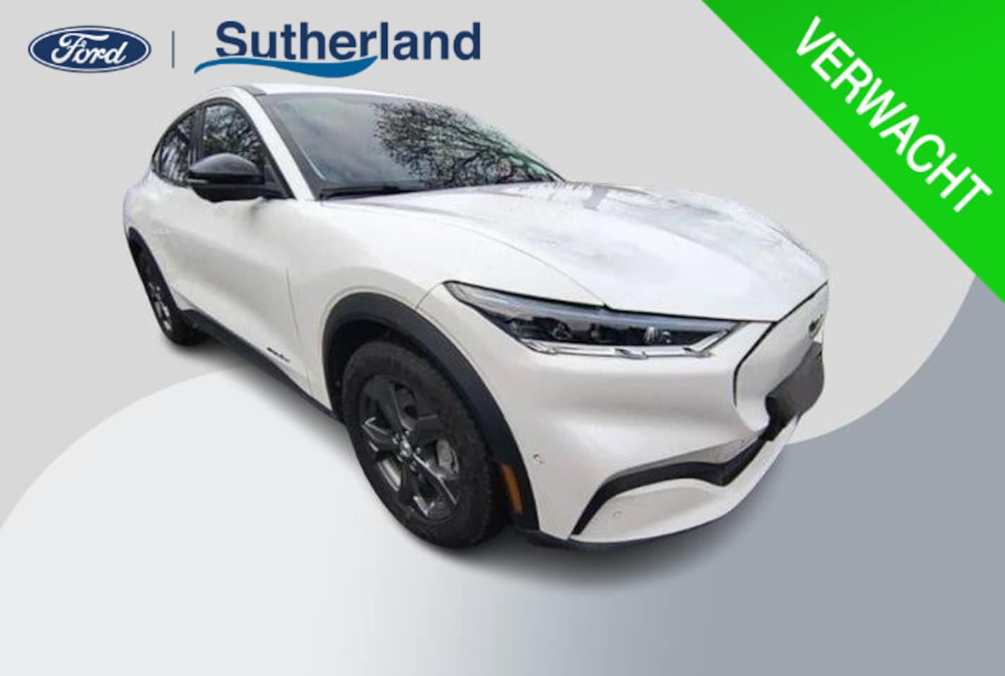 Ford Mustang Mach-E - RWD 75 kWh 269pk | Technology Pack + | Adaptieve cruise | - AutoWereld.nl