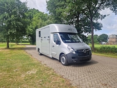 Opel Movano - Occasion paardenwagen AKX S3 Pro-Safety hengsten uitvoering, id 10