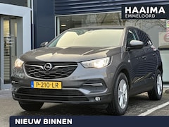 Opel Grandland X - 1.2 Turbo Business Executive | Parkeersensoren | Apple Carplay/Android Auto | Climate Cont