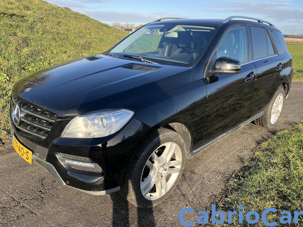 Mercedes-Benz M-klasse - 250 Blue Grijs Kenteken EURO6 GARANTIE - AutoWereld.nl