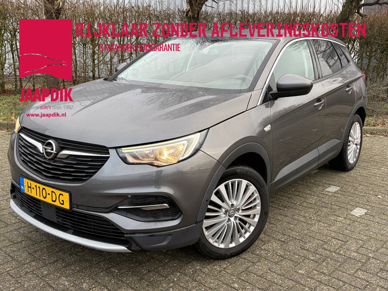 Opel Grandland X - BJR 2020 1.2 131 PKTurbo Business Executive AUTOMAAT | TREKHAAK | CLIMA  | CRUISE |  CARPL - AutoWereld.nl