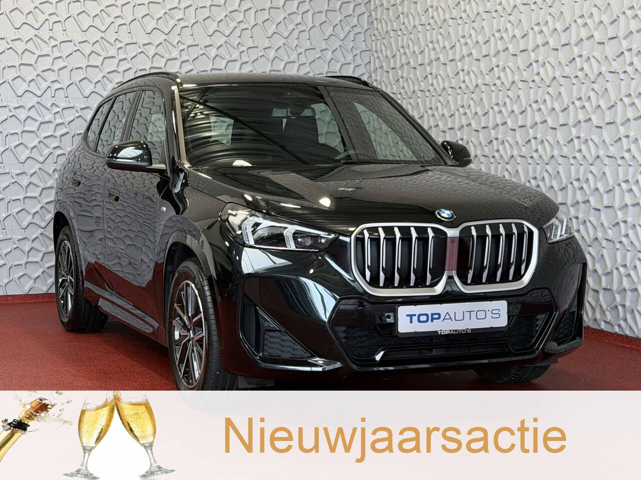 BMW X1 - SDRIVE M-SPORT SHADOW LINE NAVI LED ELEK.KLEP ADAP.CRUISE LEER/ALCANTARA CAMERA M-SPORT IN - AutoWereld.nl