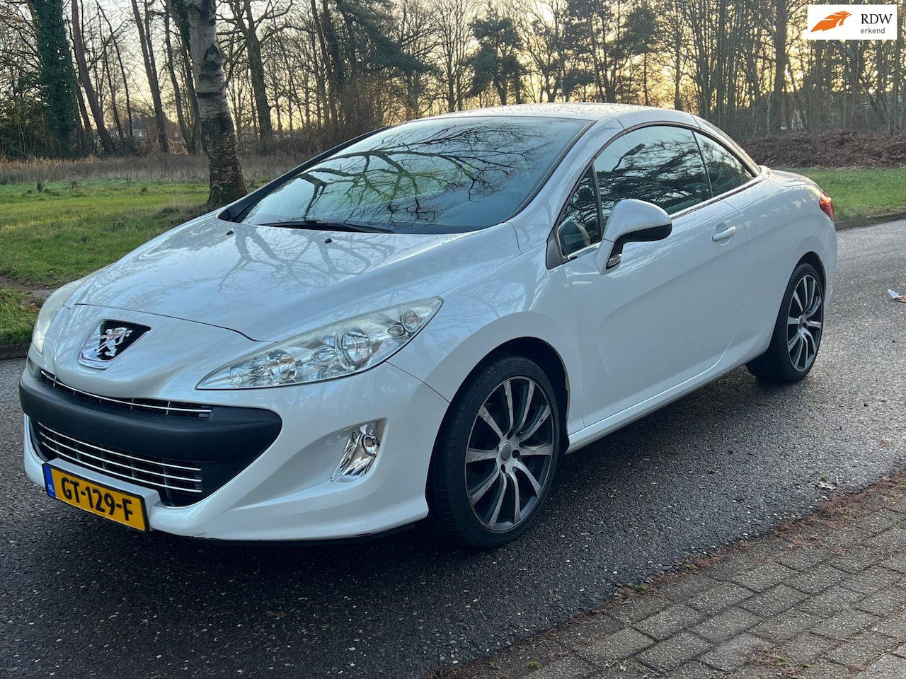 Peugeot 308 CC - 1.6 THP Cabrio Feline Automaat leer parel Vol - AutoWereld.nl