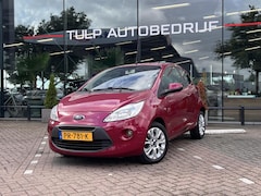 Ford Ka - 1.2 Titanium Style Pack NWE distr. riem All Season