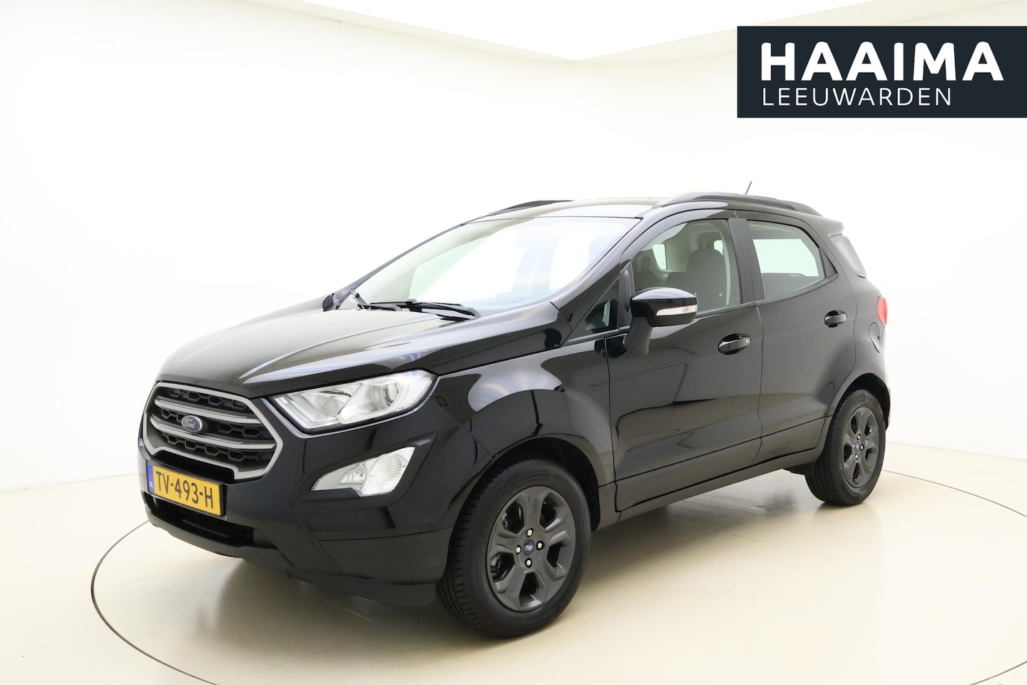 Ford EcoSport - 1.0 EcoBoost Trend Ultimate | 125 PK | Navigatie | Trekhaak | Airco | Hoge instap | Dakrai - AutoWereld.nl