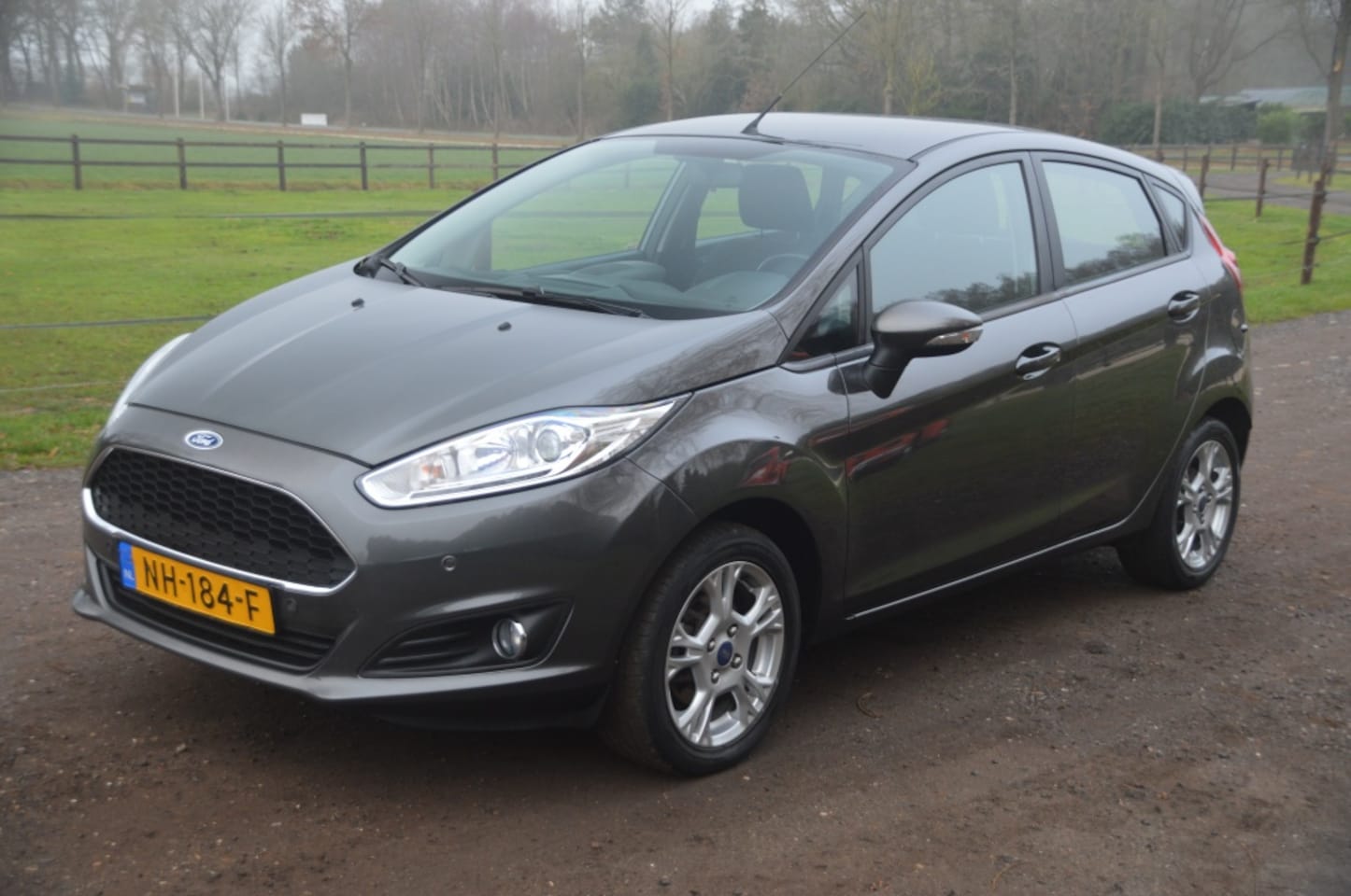 Ford Fiesta - 1.0 Style Ultimate Airco Cruise PDC Trekhaak - AutoWereld.nl
