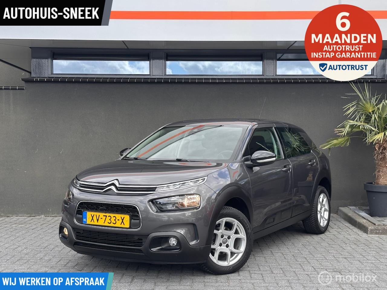 Citroën C4 Cactus - 1.2 PureTech Business |2019 |Navi |CarPlay - AutoWereld.nl