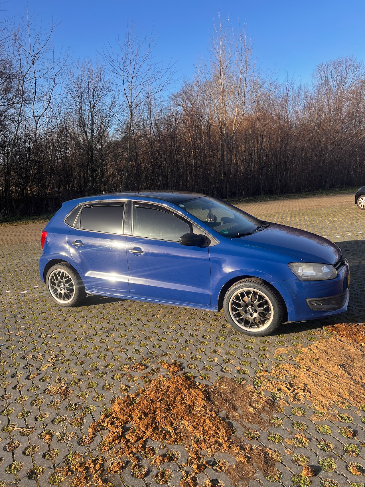 Volkswagen Polo - 1.2-12V BlueMotion Trendline - AutoWereld.nl