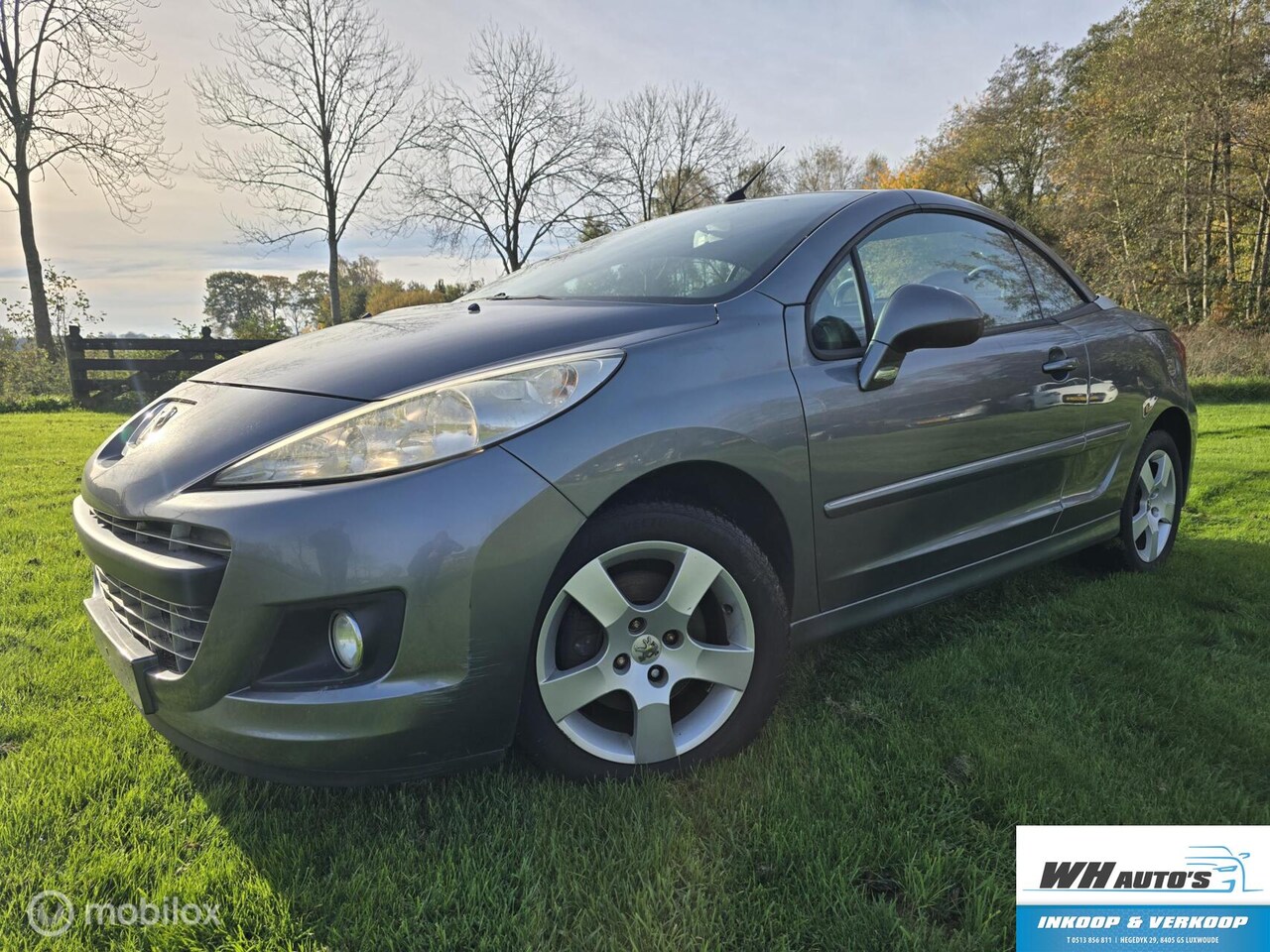 Peugeot 207 CC - 1.6 VTi Duitste papieren - AutoWereld.nl
