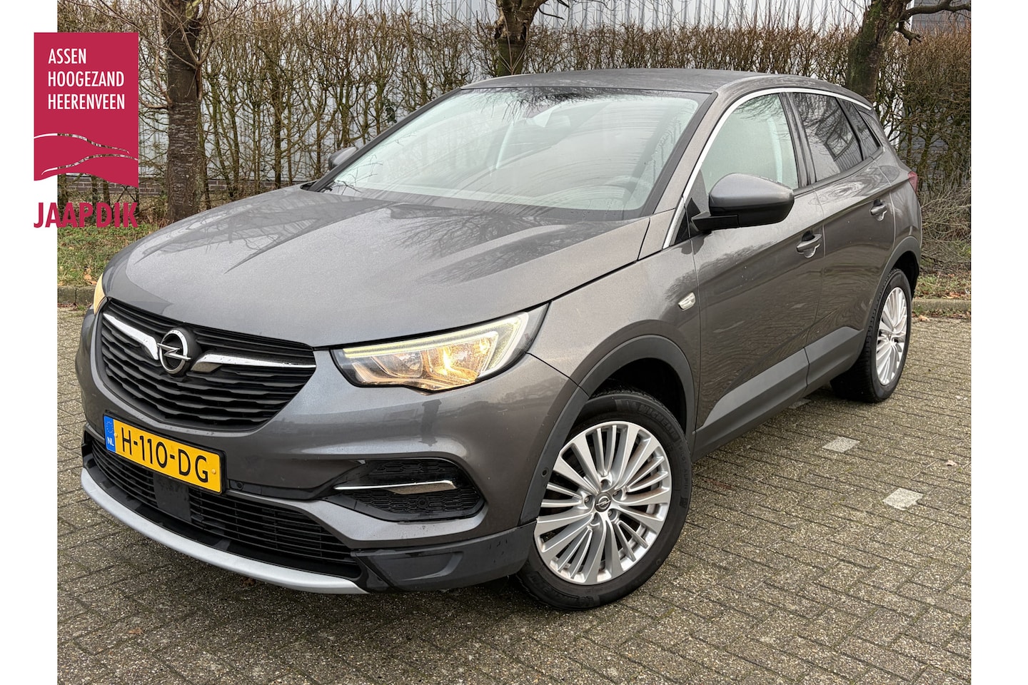 Opel Grandland X - BJR 2020 1.2 131 PKTurbo Business Executive AUTOMAAT | TREKHAAK | CLIMA  | CRUISE |  CARPL - AutoWereld.nl