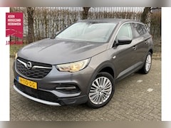 Opel Grandland X - BJR 2020 1.2 131 PKTurbo Business Executive AUTOMAAT | TREKHAAK | CLIMA | CRUISE | CARPLAY
