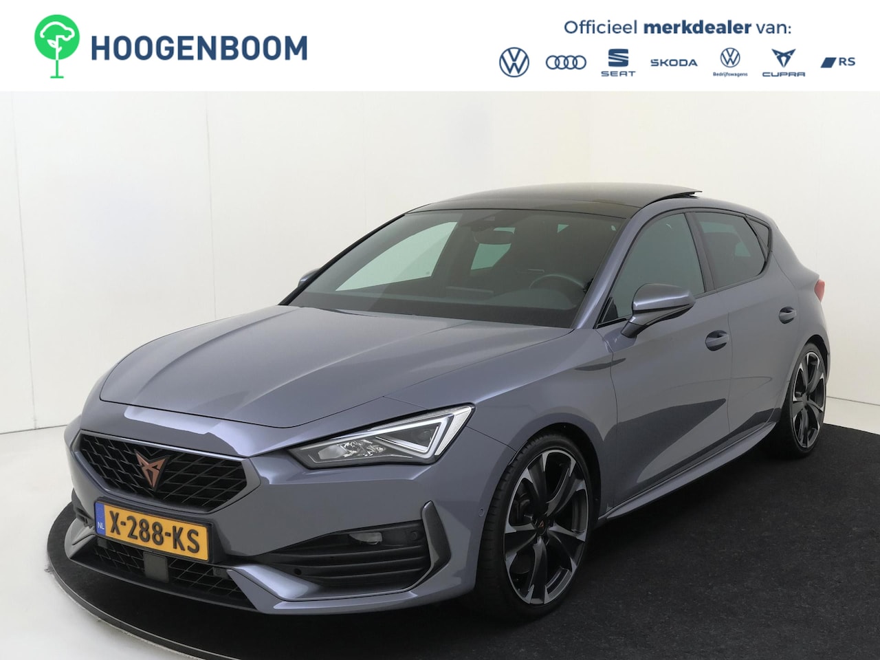 CUPRA Leon - CUPRA 300 | Panoramadak | Parkeerassistent | Adaptieve demping | Achteruitrijcamera | Dode - AutoWereld.nl