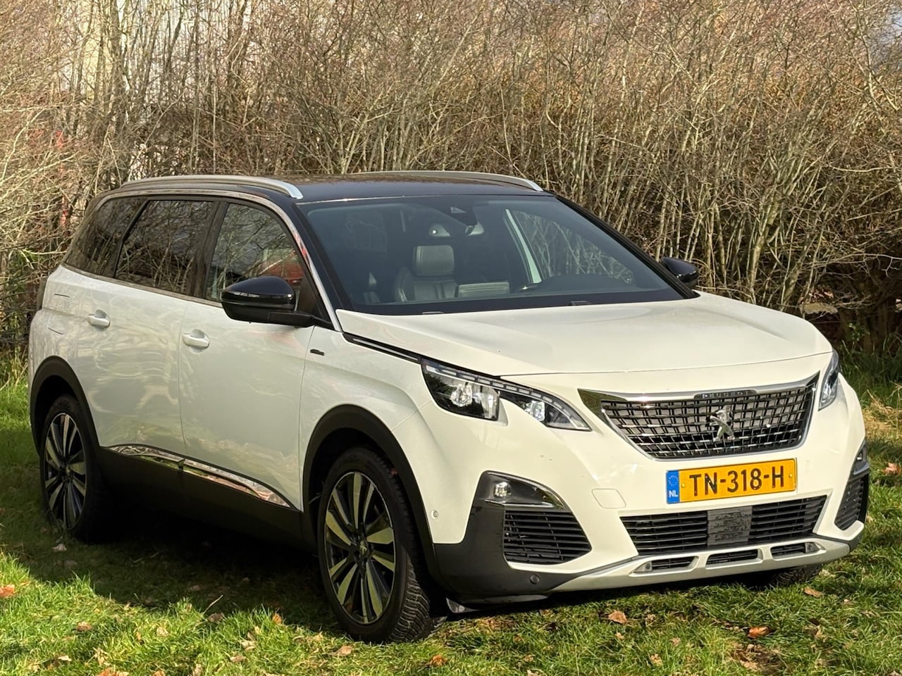 Peugeot 5008 - 1.2 PureTech GT-Line/Leer/7 Pers NL Auto - AutoWereld.nl