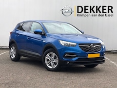Opel Grandland X - 1.2 Turbo Business + met Navi/Camera, AGR-Stoelen, Trekhaak, Climate Controle