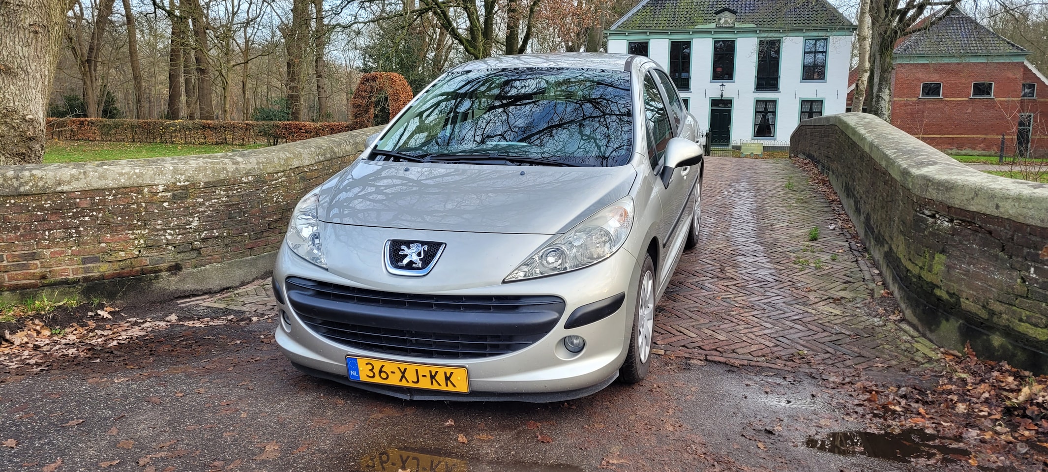 Peugeot 207 - 1.4-16V Color-line 1.4-16V Color-line-89420 KM-5DEURS-super compleet! - AutoWereld.nl